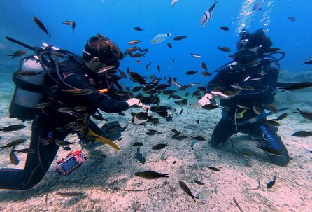 scuba diving activities in Santorini